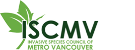 Invasive Species Council of Metro Vancouver (ISCMV)