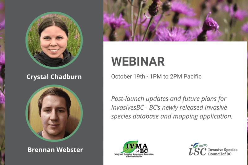 Webinar: Post-launch updates and future plans for InvasivesBC – BC’s newly released invasive species database and mapping application.  