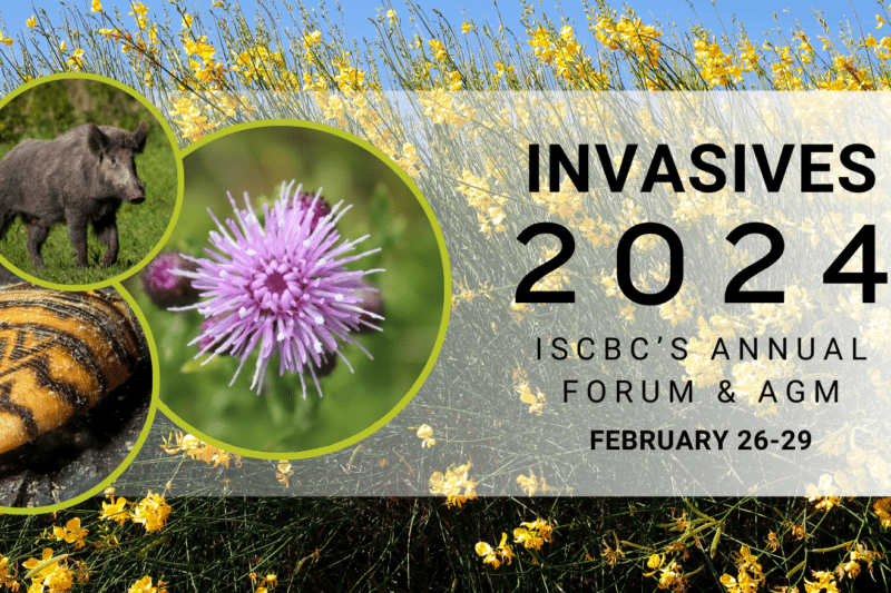 2024 ISCBC’s Annual Forum and AGM